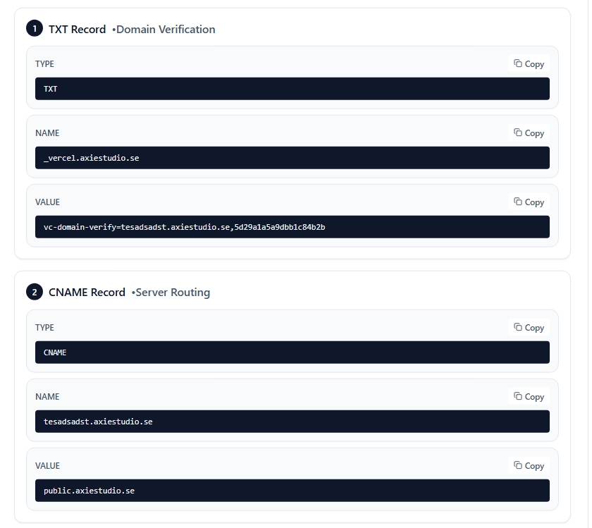 DNS Configuration Instructions